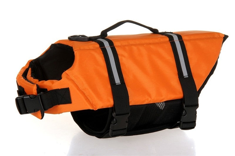 Pupvera travel and outdoor dog gear